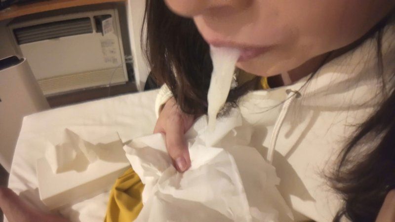 【フェラ61】30才のセフレおねーさんのやさしみフェラチオ。静かな動作の中に的確な刺激を与えてくれるのはやはり経験がなせる技か。【射精カウントダウン付き】